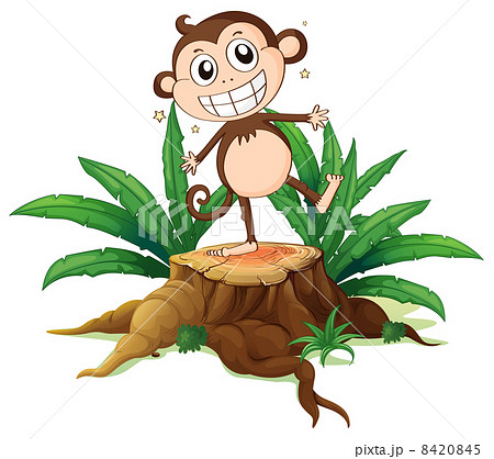 A monkey standing above a trunk 8420845