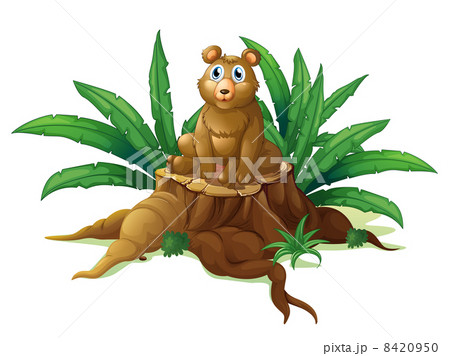 A trunk with a giant bear 8420950