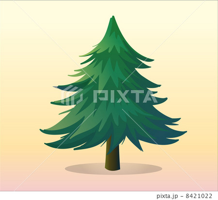 A big pine tree 8421022
