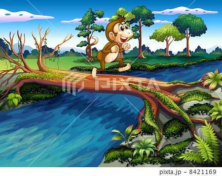 A monkey crossing the river 8421169