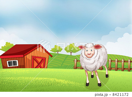 A sheep at the farm A sheep at the farm 8421172