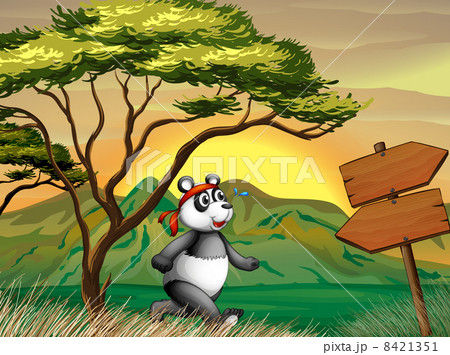 A panda following the wooden arrowboard A panda following the wooden arrowboard 8421351