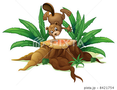 A wood with a beaver A wood with a beaver 8421754