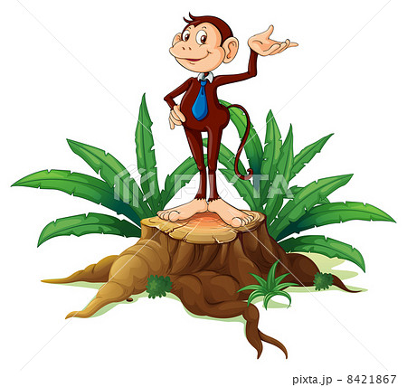 A stump with an adult monkey A stump with an adult monkey 8421867