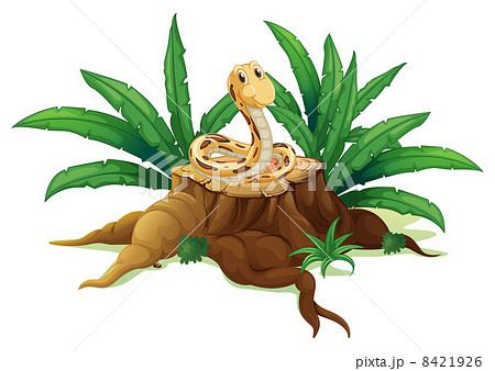 A snake above the stump A snake above the stump 8421926