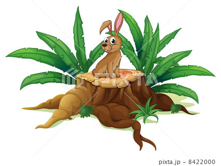 A brown bunny sitting above the wood A brown bunny sitting above the wood 8422000