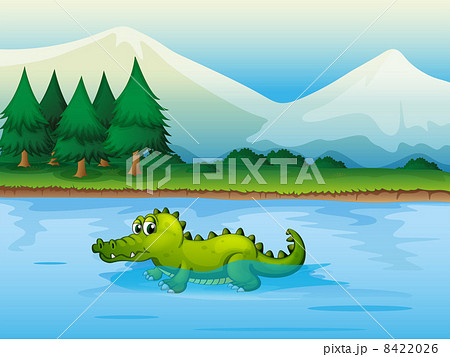 An alligator .in the river .. An alligator .in the river .. 8422026