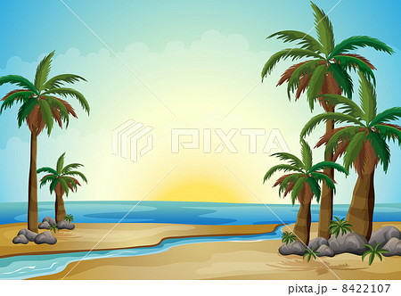Palm trees at the beach 8422107