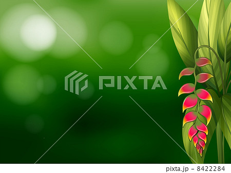 A green colored stationery 8422284