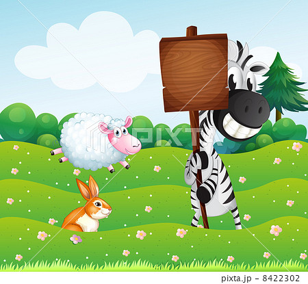 A zebra holding an empty wooden signboard at the hill A zebra holding an empty wooden signboard at the hill 8422302