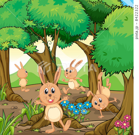 Four rabbits playing at the forest 8422322