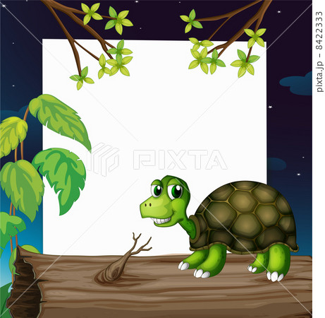 A turtle above the wood with an empty board at the back 8422333