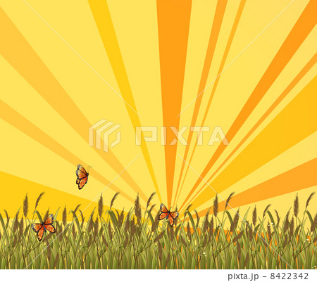 A sunset scenery at the top of the hill 8422342