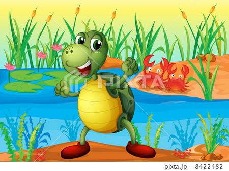 A turtle in the pond with two crabs at the back 8422482