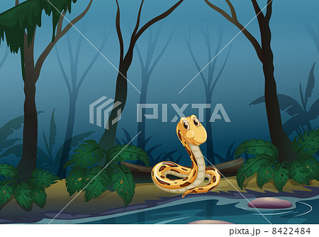 A snake near the pond 8422484