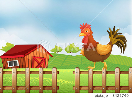 A rooster above the fence 8422740