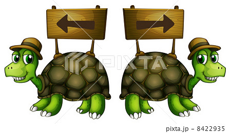 Turtles carrying wooden signboards Turtles carrying wooden signboards 8422935