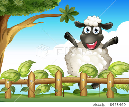 A playful sheep inside the wooden fence 8423460