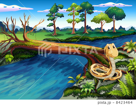 A snake at the riverbank 8423464