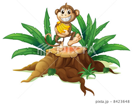 A trunk with a monkey holding bananas 8423648