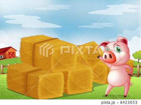 A pig pointing the farm crops A pig pointing the farm crops 8423653