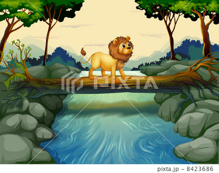 A lion crossing the river A lion crossing the river 8423686