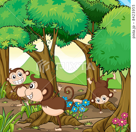Three monkeys playing in the forest 8423955