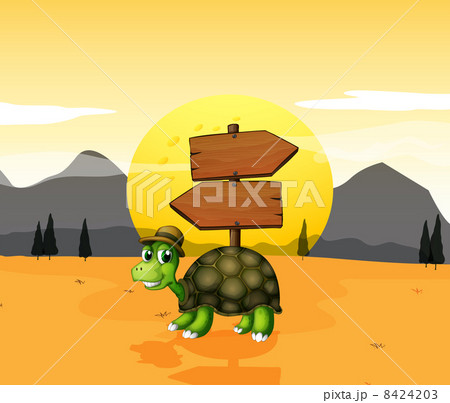 A turtle in the desert near the arrowboards 8424203