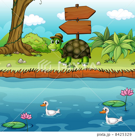 A turtle near the wooden arrowboards at the riverbank 8425329