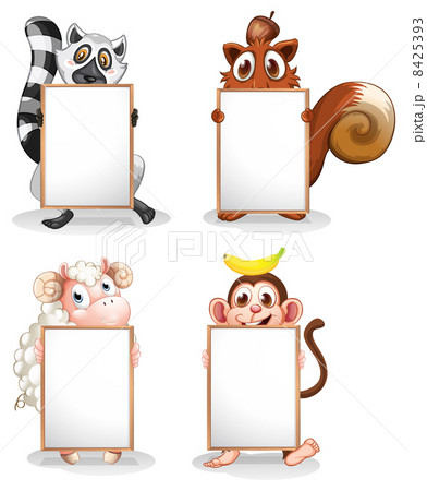 Four different animals with empty whiteboards Four different animals with empty whiteboards 8425393