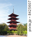 青森県　弘前市　最勝院　五重塔 8425607