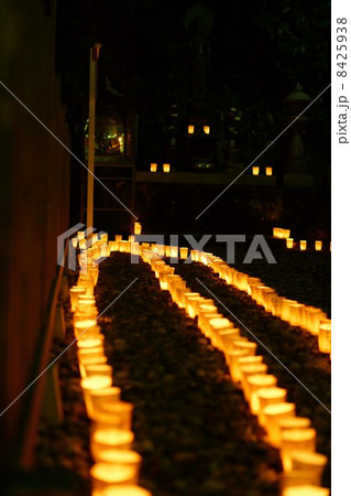 宝山寺 お彼岸万燈会 宝山寺 お彼岸万燈会 8425938