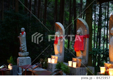 宝山寺 お彼岸万燈会 宝山寺 お彼岸万燈会 8425957