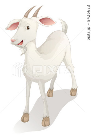 goat goat 8426623