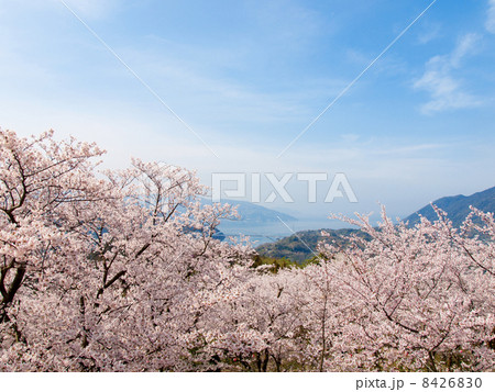開山公園1 開山公園1 8426830