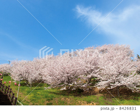 開山公園2 開山公園2 8426831