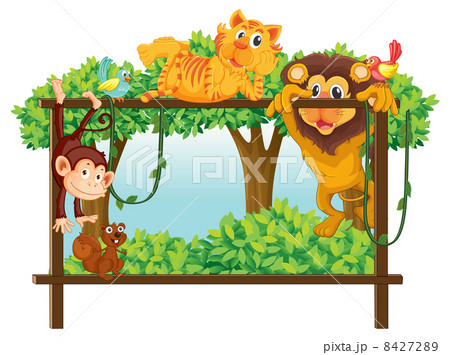 various animals 8427289