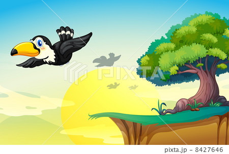 bird and tree 8427646