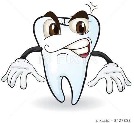 tooth 8427858
