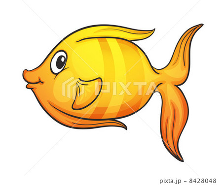 Isolated tropical fish on white Isolated tropical fish on white 8428048