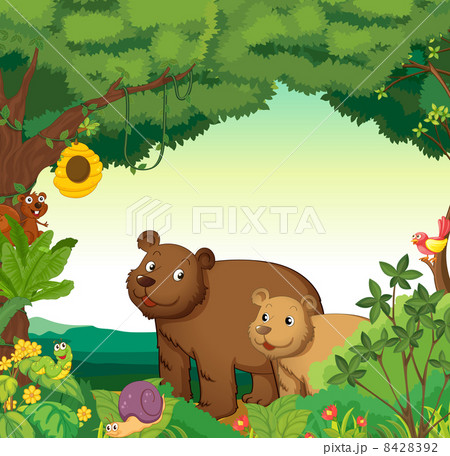 Animals in the forest Animals in the forest 8428392