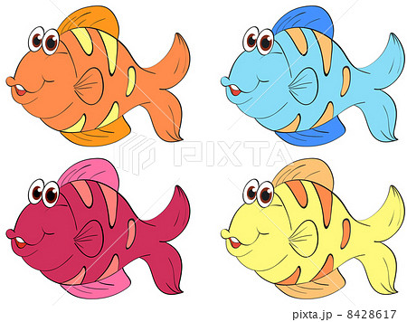 Isolated tropical fish on white 8428617