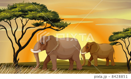 Elephant under a tree 8428851