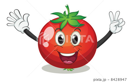 tomato tomato 8428947