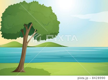 tree and river 8428990