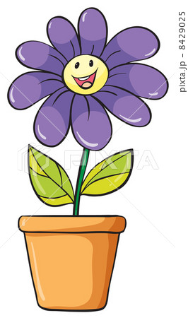 a flower plant in a pot a flower plant in a pot 8429025