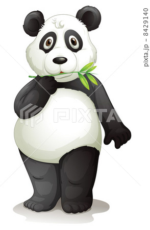 panda panda 8429140