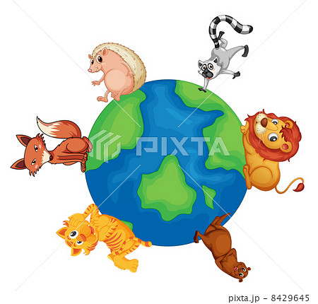 various animals on earth various animals on earth 8429645
