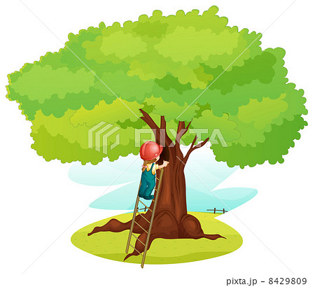 a boy and ladder under tree a boy and ladder under tree 8429809