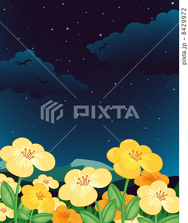 Flowers at night Flowers at night 8429972